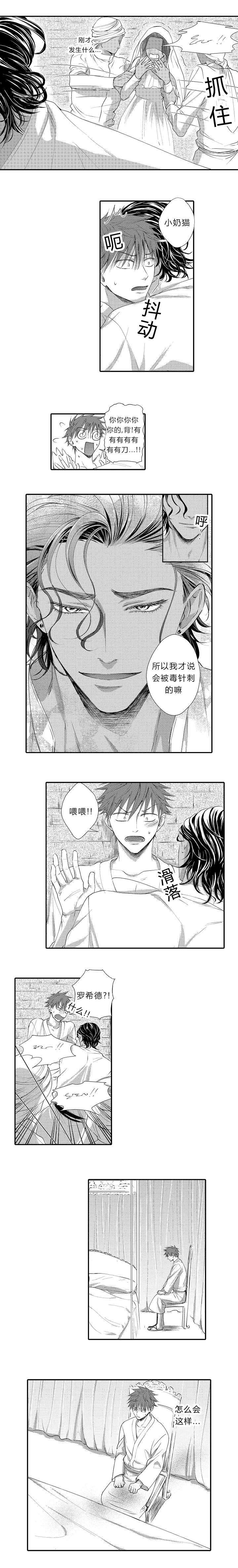 王子的骑士笔趣阁无删减免费阅读漫画,第13话4图
