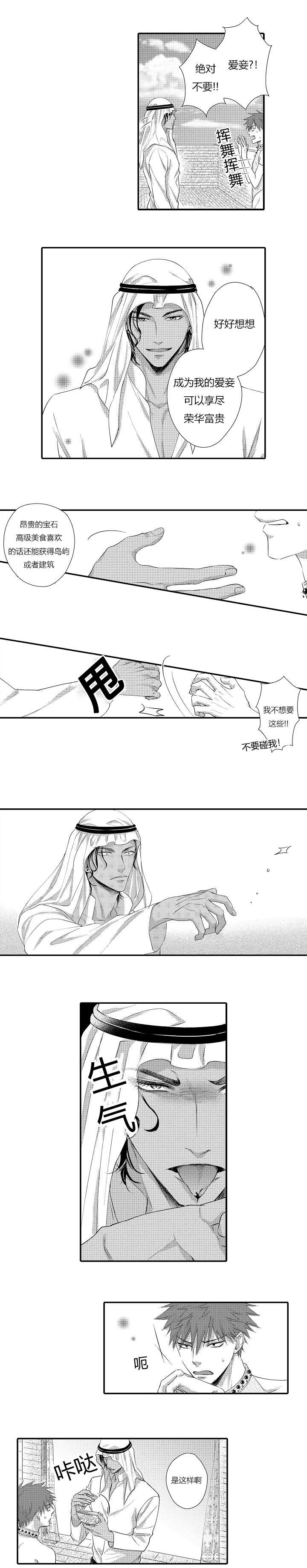 王子的骑士txt小说下载漫画,第4话1图