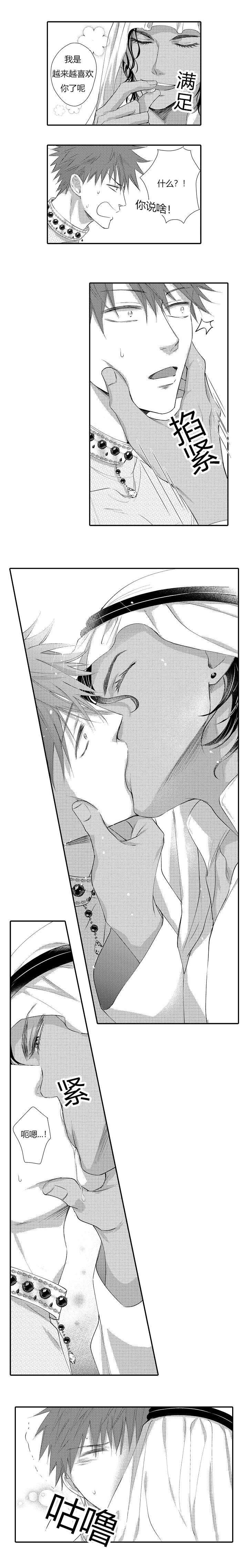 王子的骑士txt小说下载漫画,第4话2图