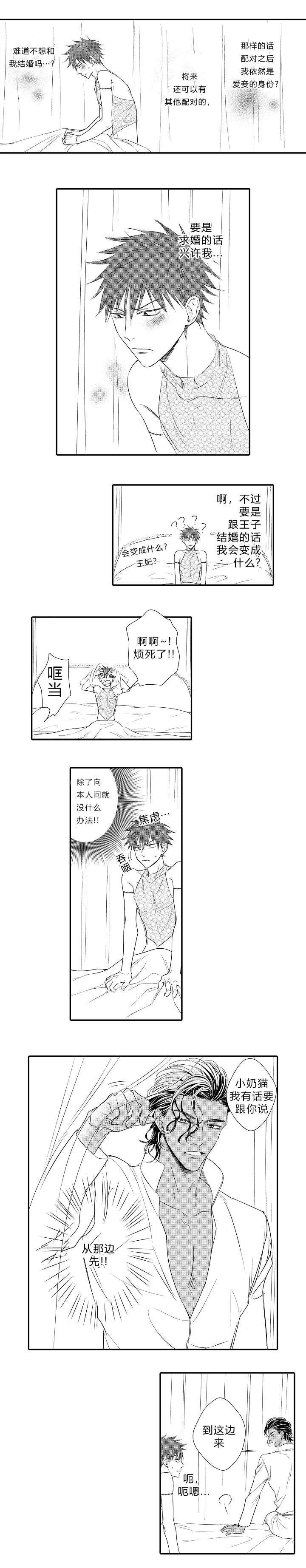 王子的骑士免费阅读漫画,第20话1图