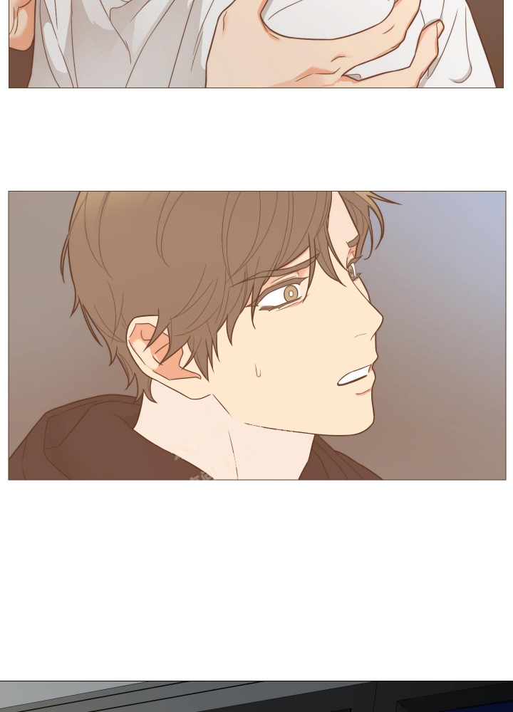 囚笼之爱无删减全集免费漫画,第43话4图