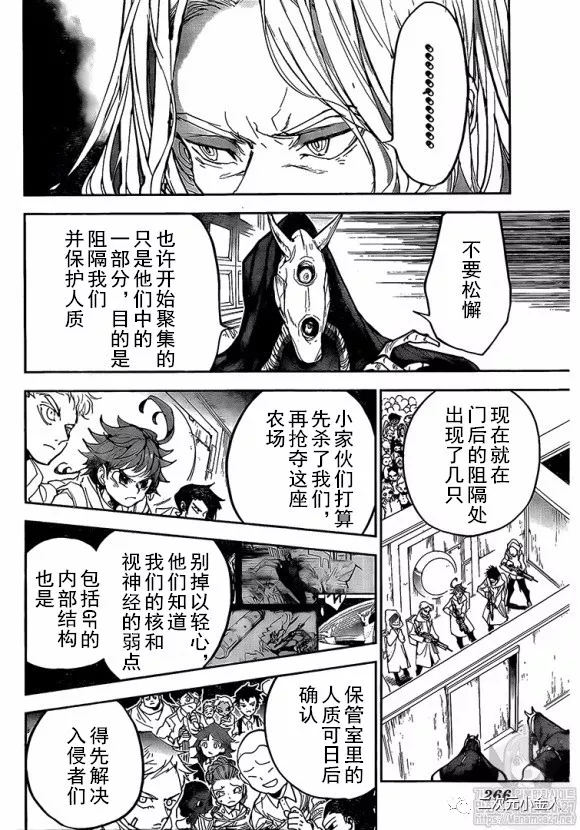 约定的梦幻岛免费观看全集漫画,第167话4图
