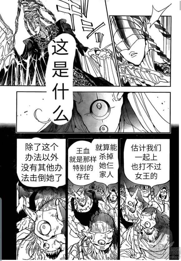约定的梦幻岛全集解说漫画,第150话试看版3图