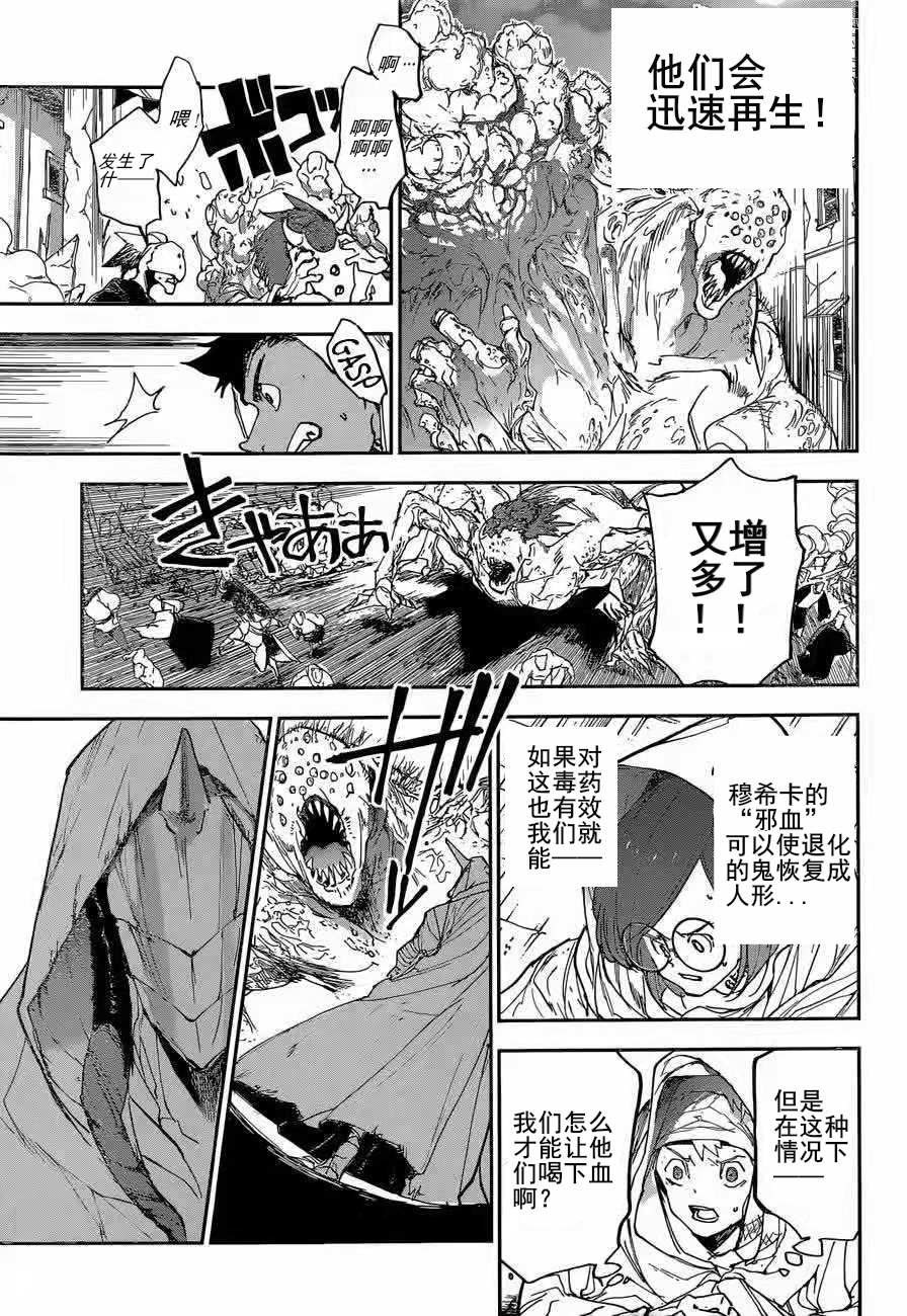 约定的梦幻岛第一季全集免费观看樱花动漫漫画,第155话试看版3图