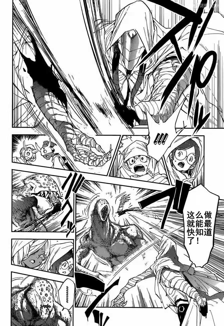 约定的梦幻岛第一季全集免费观看樱花动漫漫画,第155话试看版4图