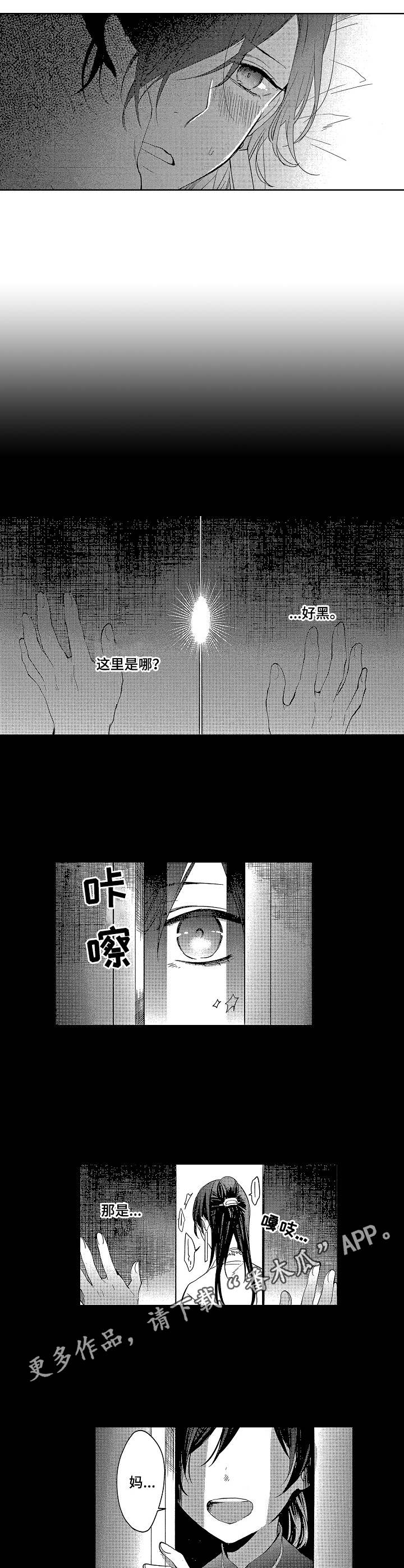 中国唯一外嫁的平民皇妃漫画,第11章：好玩的事4图
