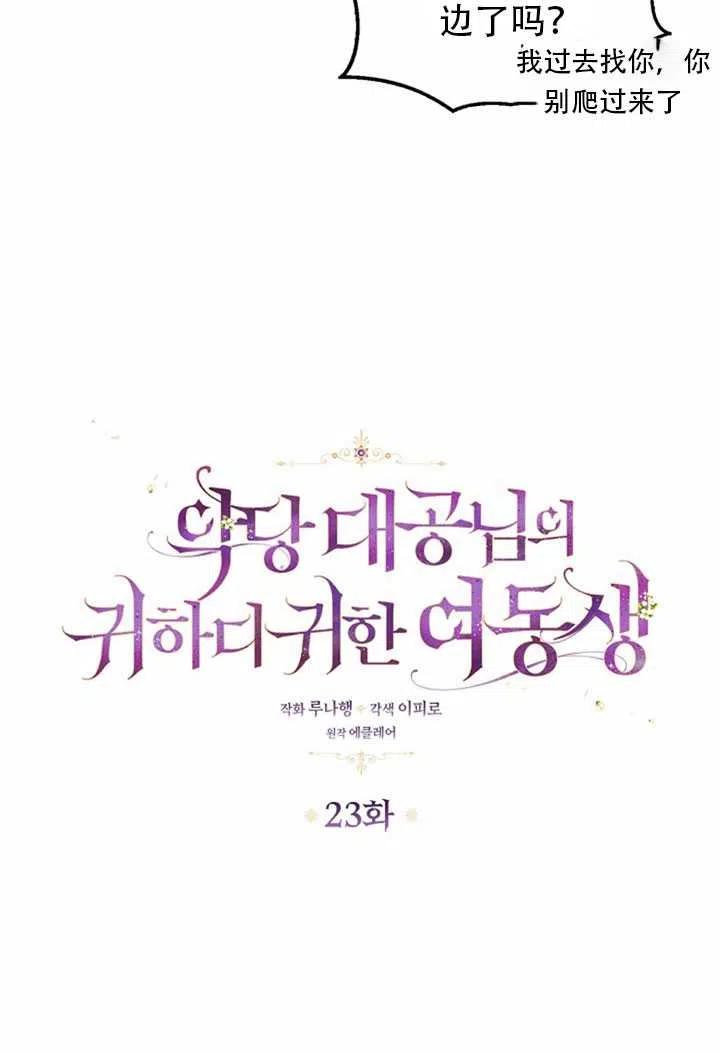 恶棍的宝贝妹妹漫画,第23话3图