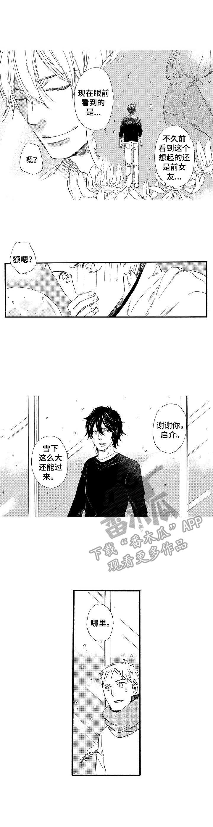 粉丝经济兴起的原因漫画,第25章：雪和玻璃（完结）1图