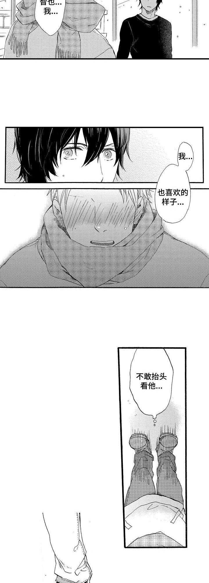 粉丝经济兴起的原因漫画,第25章：雪和玻璃（完结）5图