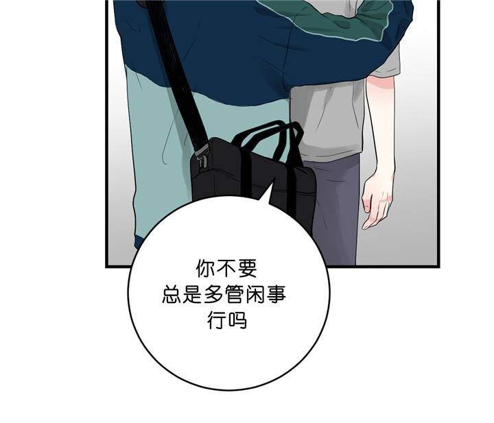 追爱家族电视剧剧情分集介绍漫画,第30话2图