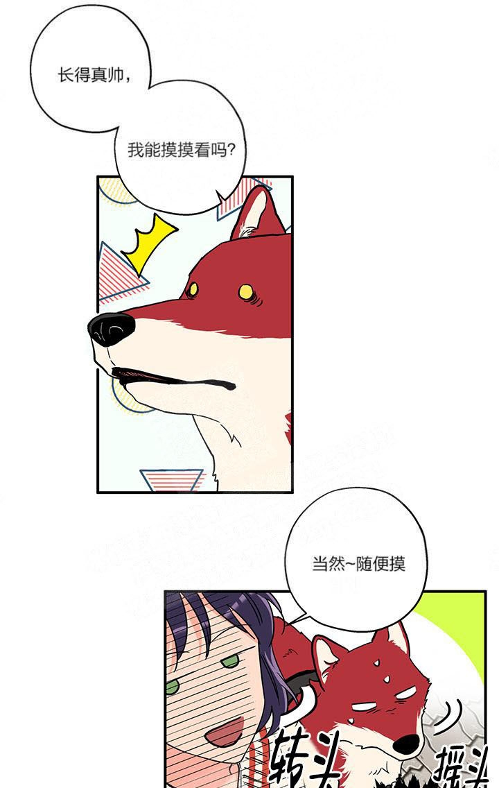 引狼入室的意思是什么漫画,第3话5图