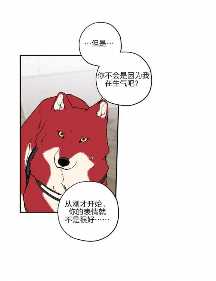 引狼入室收养记日记下载漫画,第39话4图