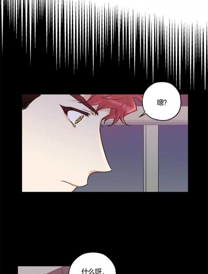 引狼入室复仇篇小说漫画,第27话5图