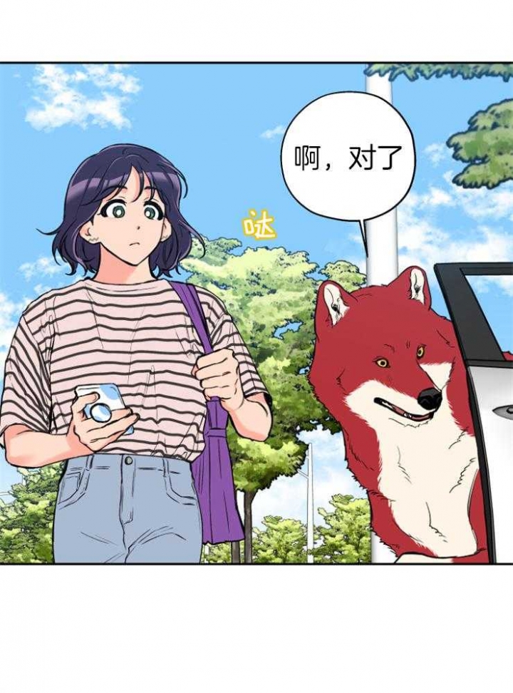 引狼入室驯养日记张淼淼小说漫画,第61话5图