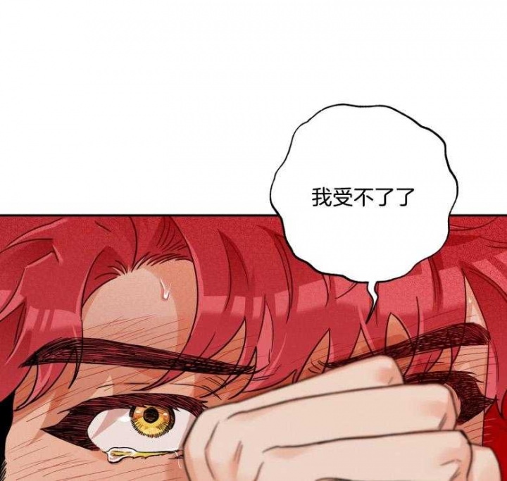 引狼入室小说全集免费看漫画,第105话1图