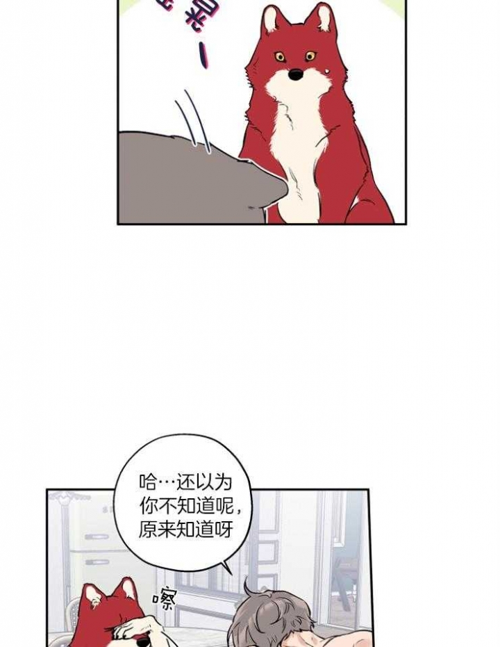 引狼入室的意思漫画,第40话3图