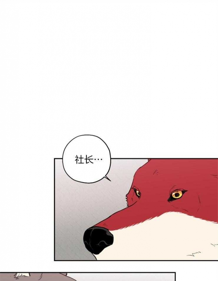引狼入室的意思漫画,第40话1图