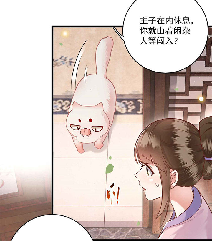 这个王妃老娘不当了大结局后续漫画,第13章：把狗牵到主人面前打3图