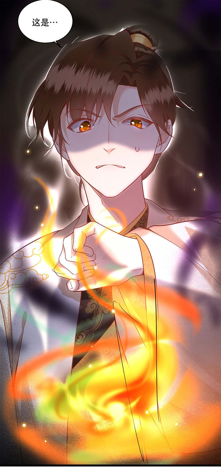 这个王妃路子很野得宠讲的什么漫画,第18章：去请教你的狗头军师3图