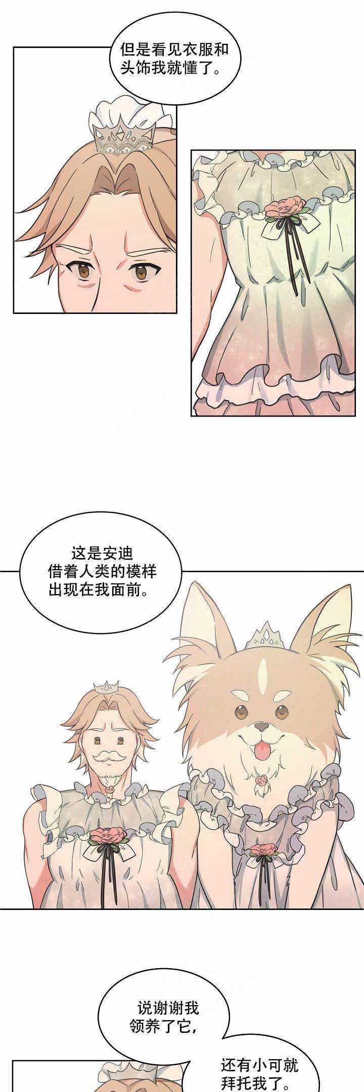 坐下等等kiss漫画免费阅读漫画,第65话5图