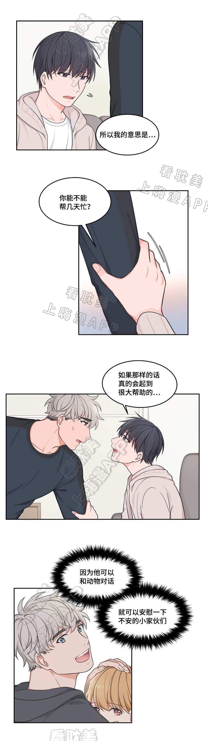 坐下等等kiss第16话漫画,第36话4图