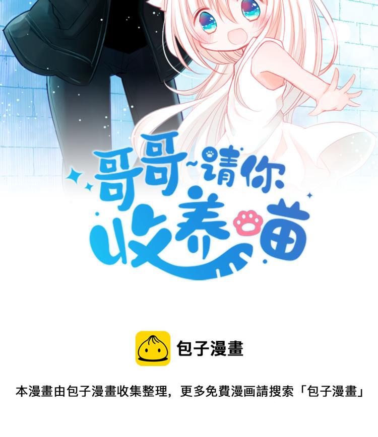 哥哥请你收养猫动漫完结漫画,第1话 小巷里的两人2图