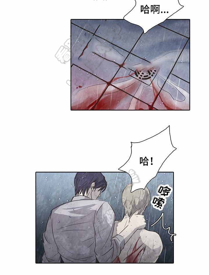艺莞儿原创舞蹈我爱的人在新疆漫画,第6话3图