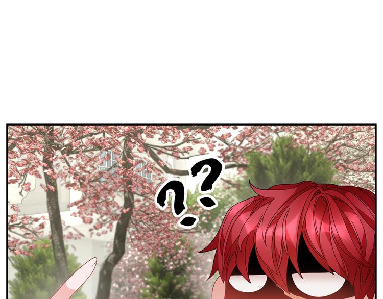 反派皇妃求保命漫画完整版免费漫画,第63话  能担责的父亲4图