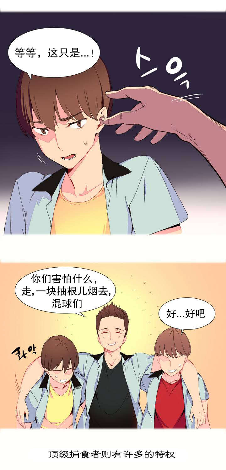 精灵小姐瘦不了原版漫画,第1章：捕食者4图