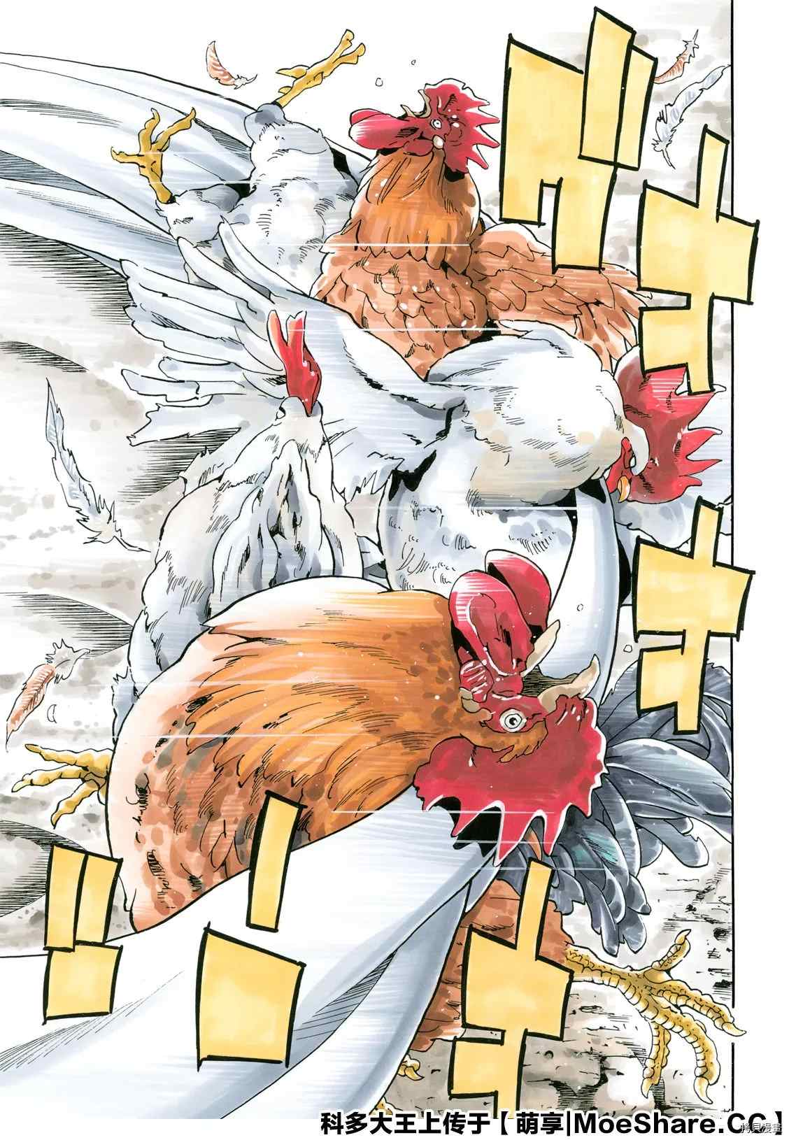 中华小当家在线播放漫画,极815图