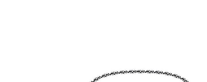 直播之盗墓之王小说漫画,第13话1图