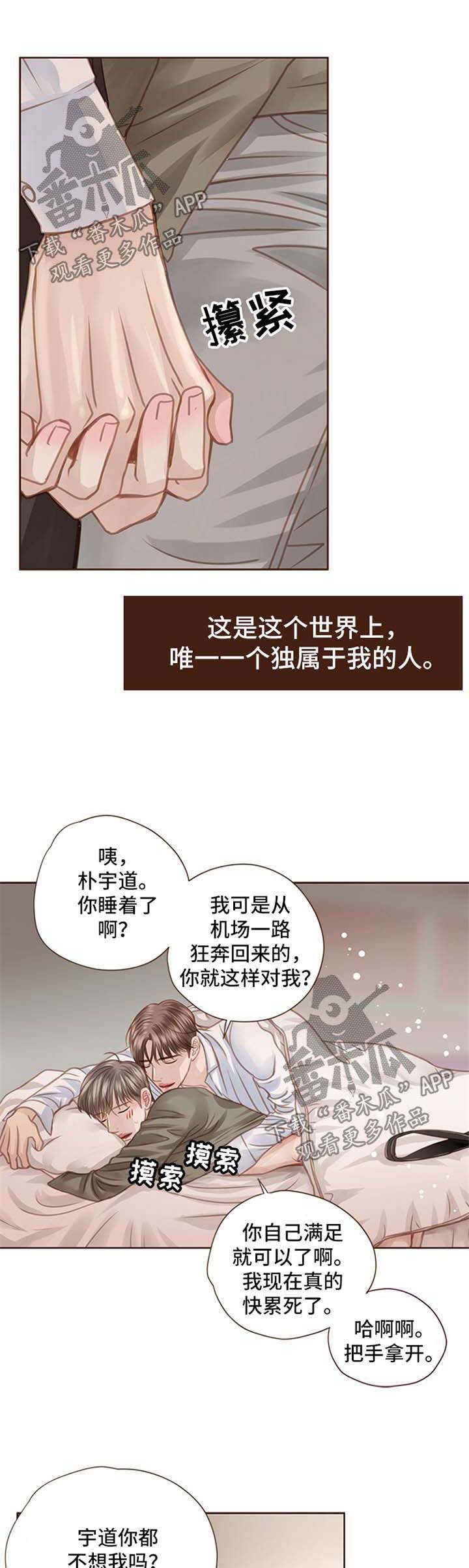轻狂简介漫画,第58章：你是我的全部3图