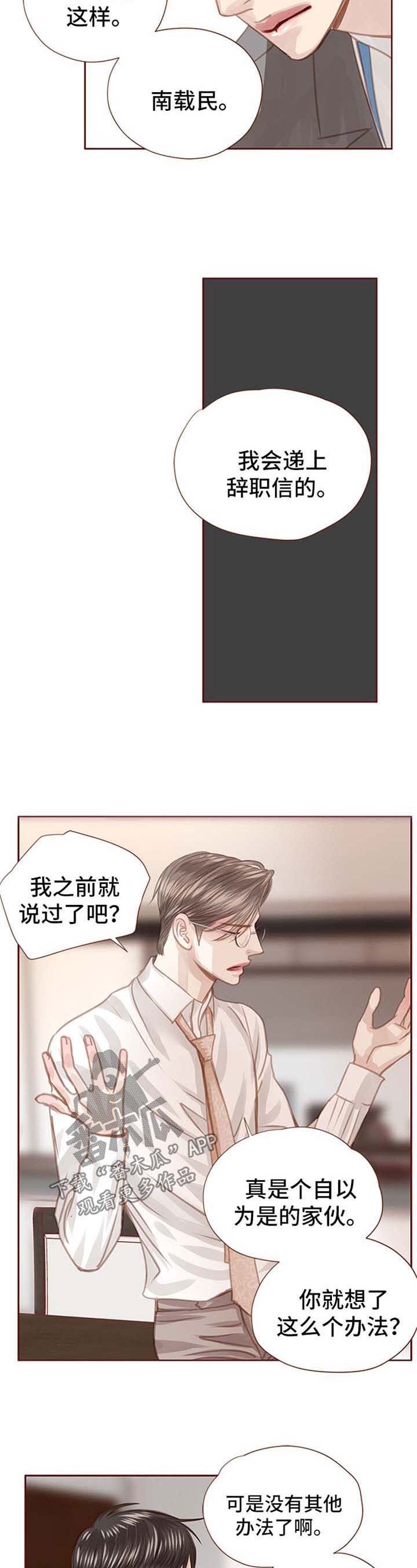 轻狂少年郎免费阅读漫画,第52章：辞职4图