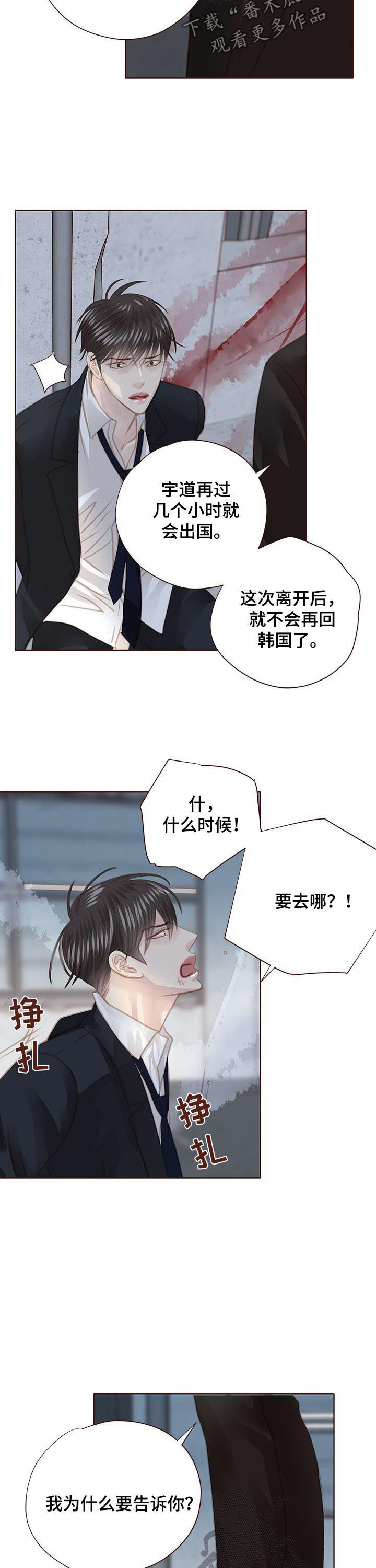 年少轻狂漫画漫画,第115章：出国2图