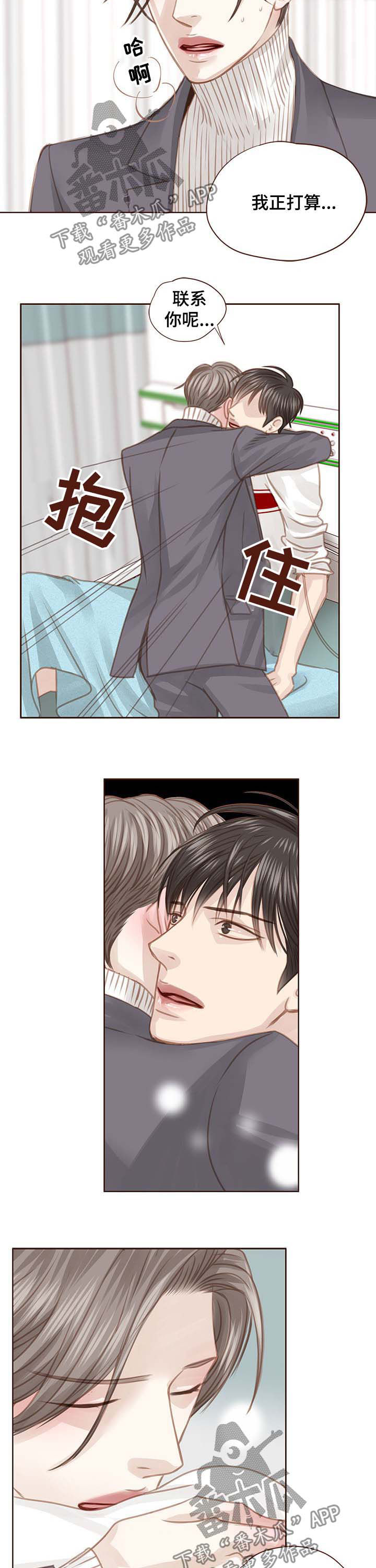 轻狂年少漫画免费阅读漫画,第84章：调查结果4图