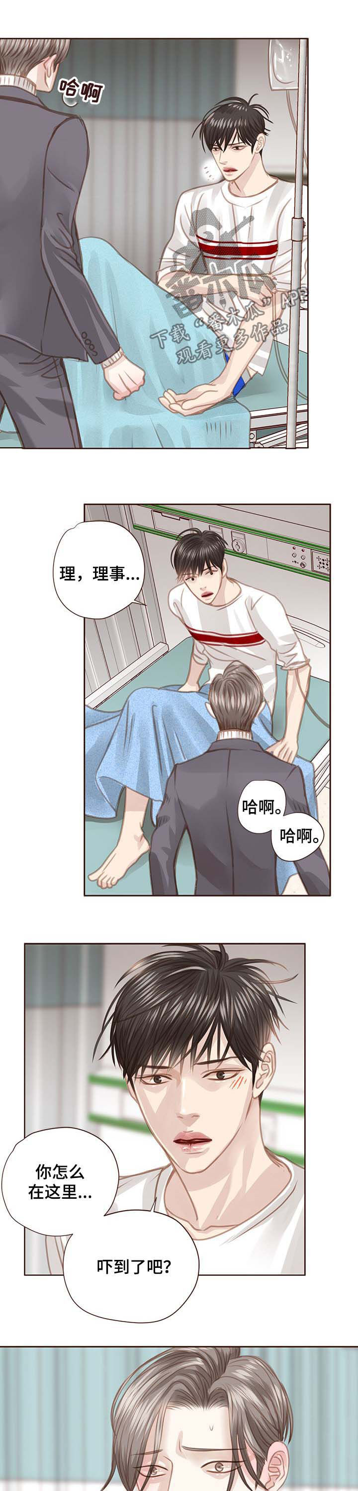 轻狂年少漫画免费阅读漫画,第84章：调查结果3图
