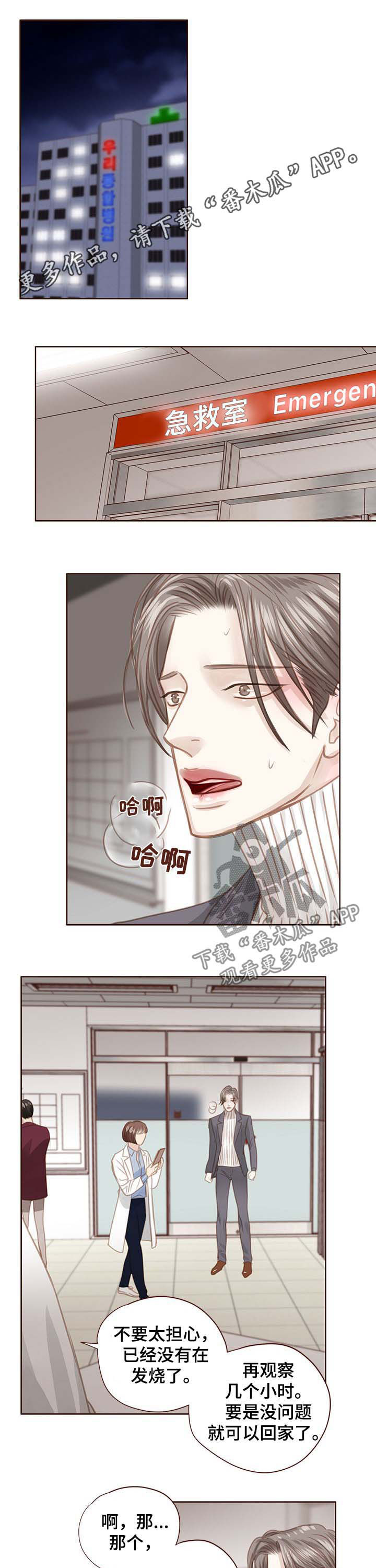 轻狂年少漫画免费阅读漫画,第84章：调查结果1图