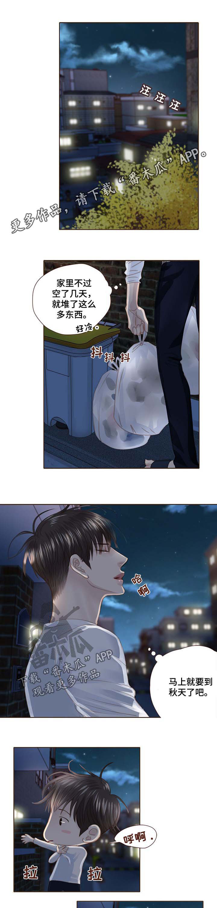 轻狂小毒妃完整版漫画,第94章：正面对决1图