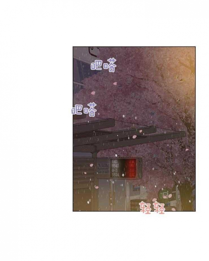 复叶槭是常绿还是落叶漫画,第96话1图