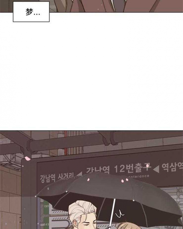 复叶槭是常绿还是落叶漫画,第96话3图