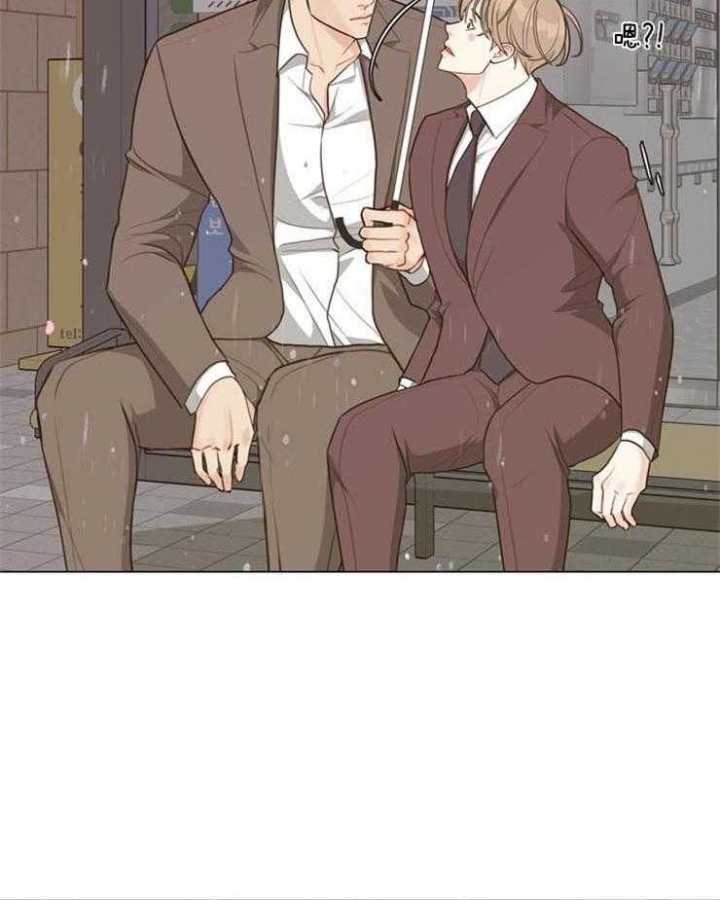 复叶槭是常绿还是落叶漫画,第96话4图