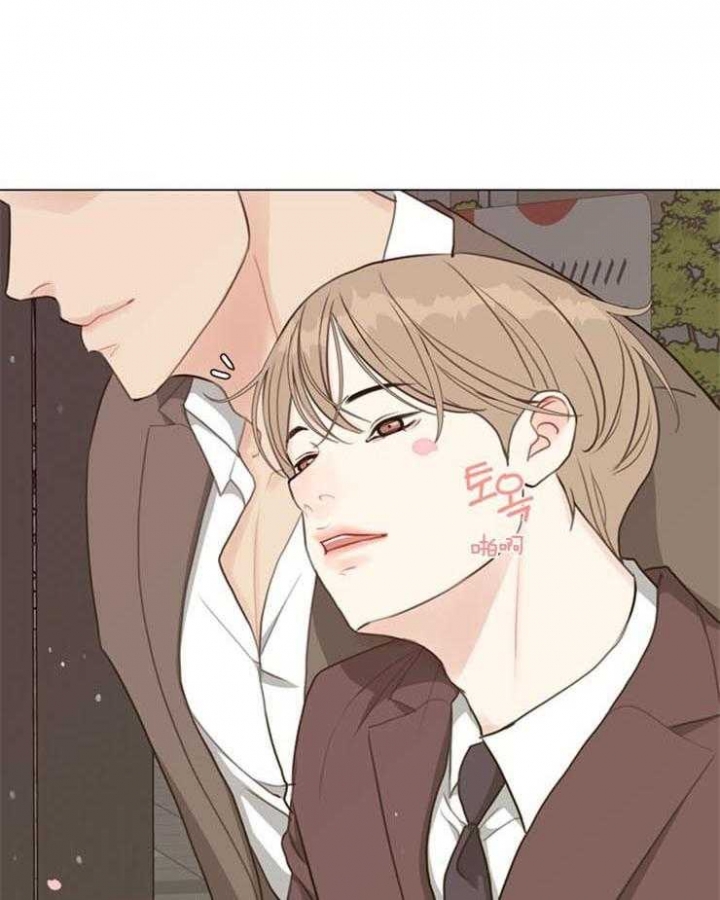 复叶槭是常绿还是落叶漫画,第96话2图