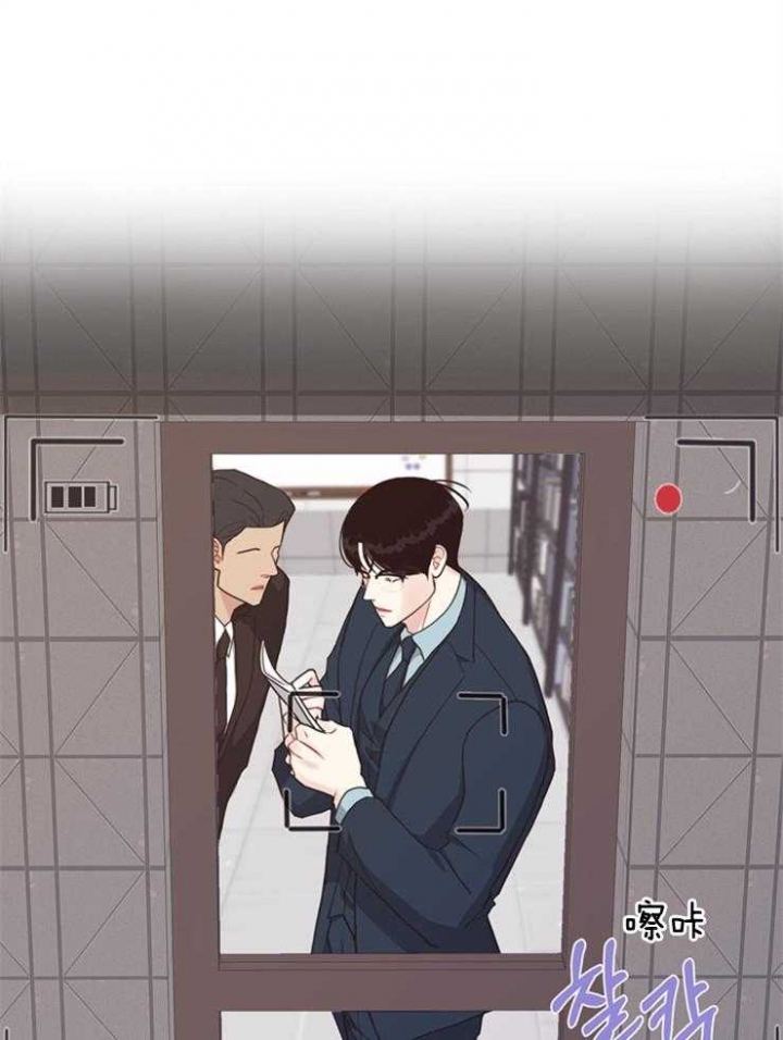 辐叶鹅掌柴漫画,第101话1图