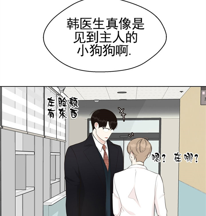 复叶槭是常绿还是落叶漫画,第48话5图