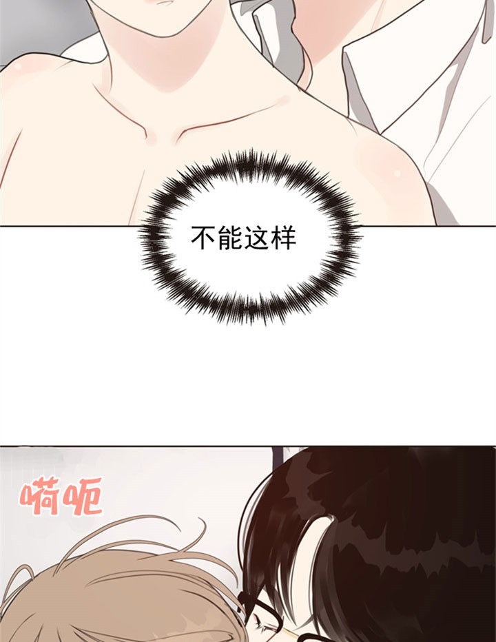 复叶槭是常绿还是落叶漫画,第31话3图