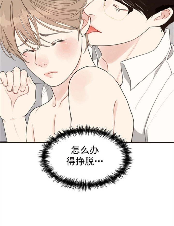 复叶槭是常绿还是落叶漫画,第31话4图