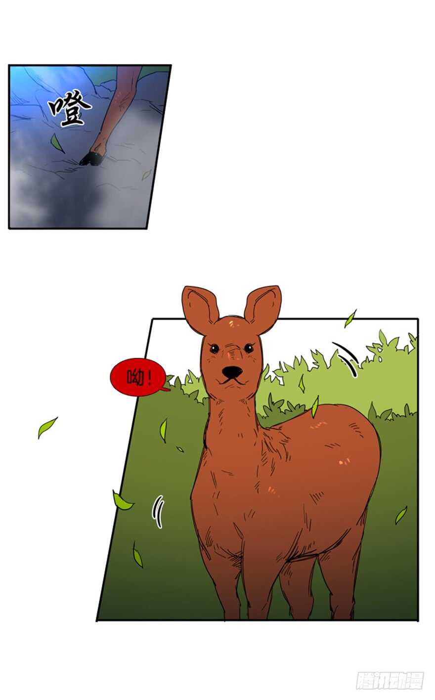 月夜鸟兽之石头位置漫画,第46话2图