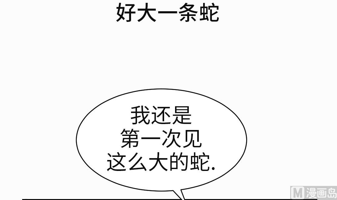 都市宠兽漫画,第65话 好大一条蛇3图