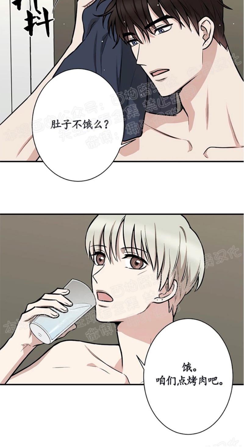 秘密恋情是双洁吗漫画,第8话4图