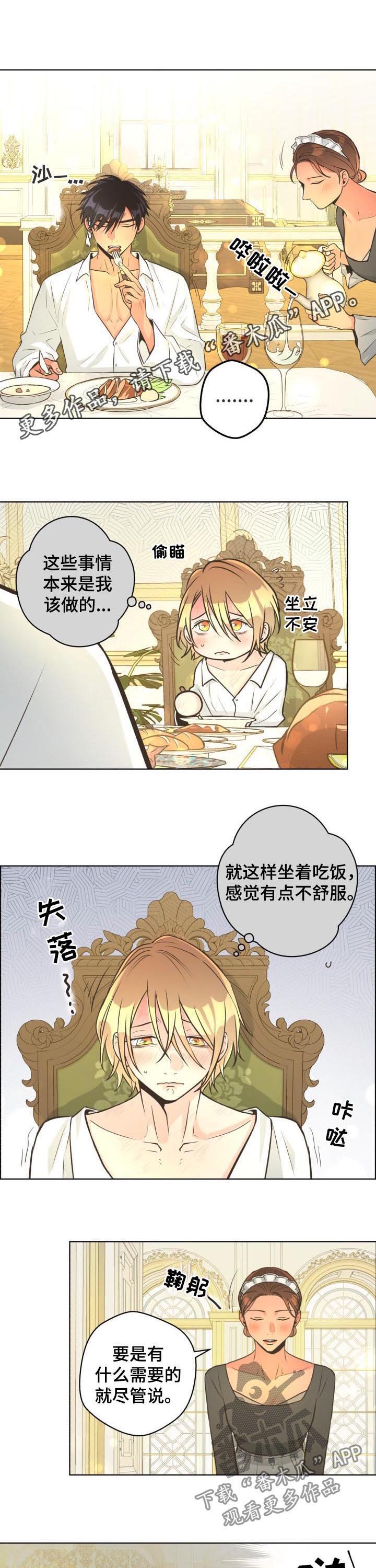 比索人民币汇率换算漫画,第45章：一起吃饭1图